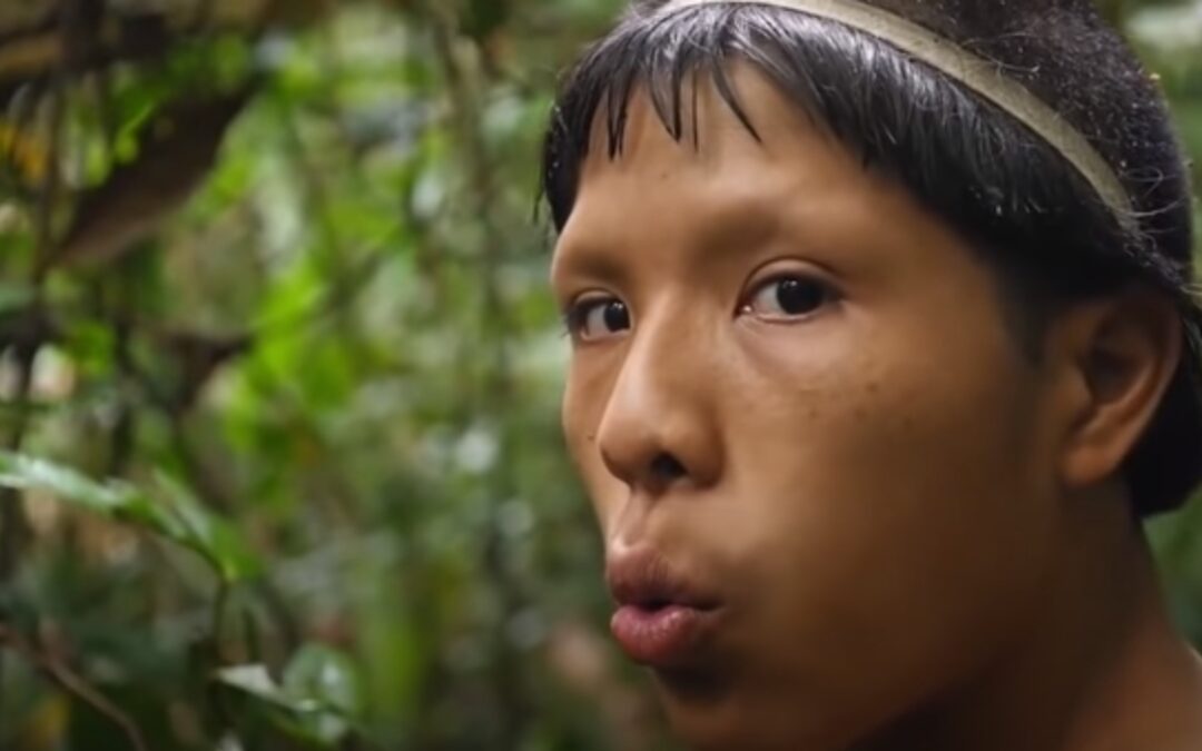 Les Paradis Perdus d’ Amazonie