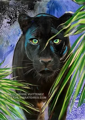 Panthère Noire - Le Regard