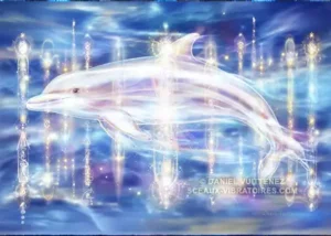 Galactic Dolphins Activation des 12 sceptres